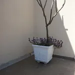 Διαμέρισμα Oruci *