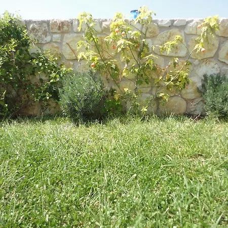 Oruci Apartament
