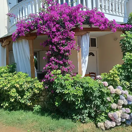 Apartament Oruci *