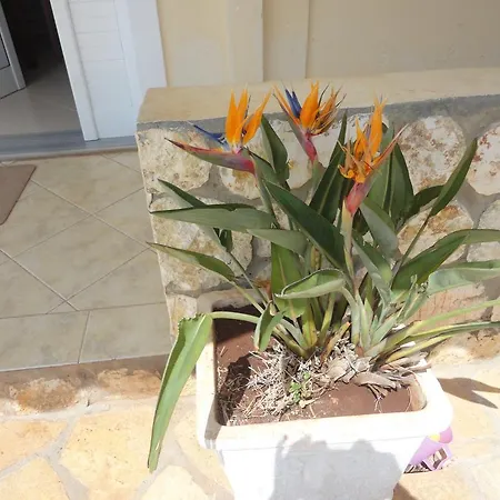 Apartament Oruci *