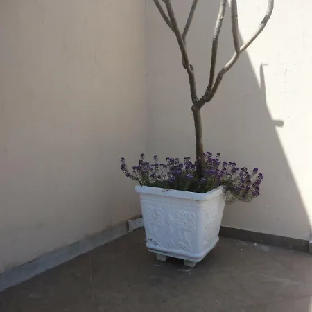 Apartment Oruci *