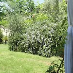 Oruci *